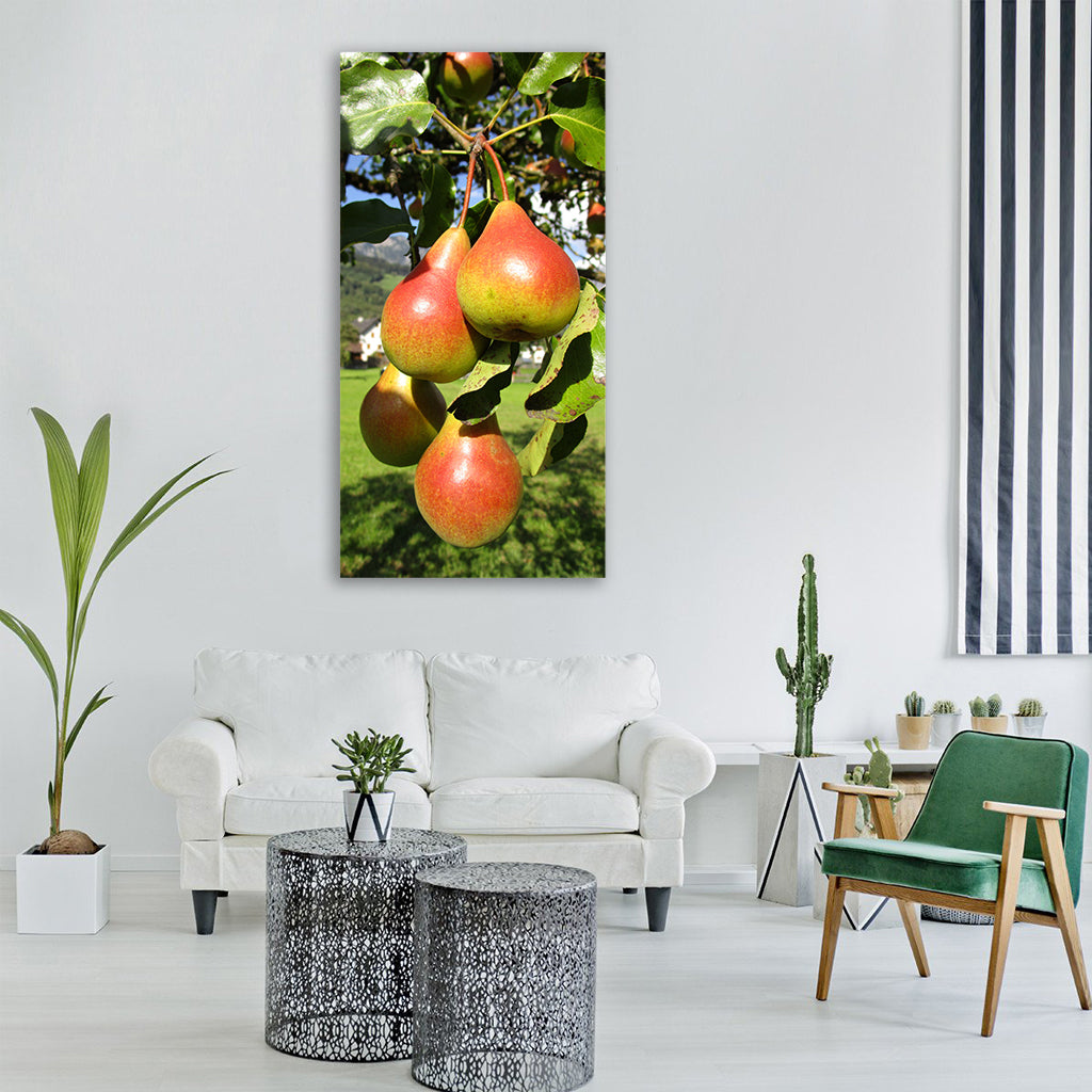 pear fruit juicy tasty food eat Vertical Canvas Wall Art