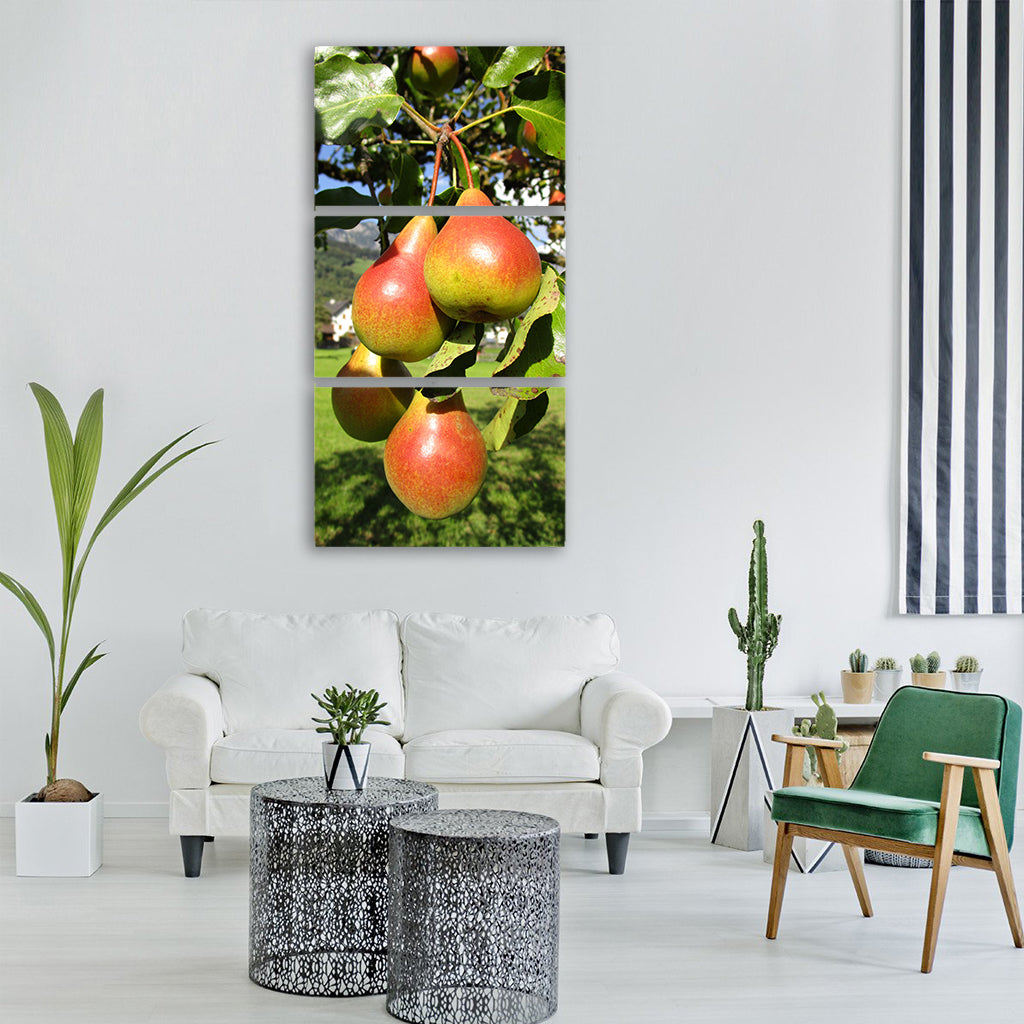 pear fruit juicy tasty food eat Vertical Canvas Wall Art