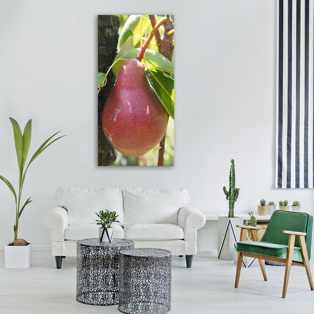 pear fruit garden fruits ripe Vertical Canvas Wall Art