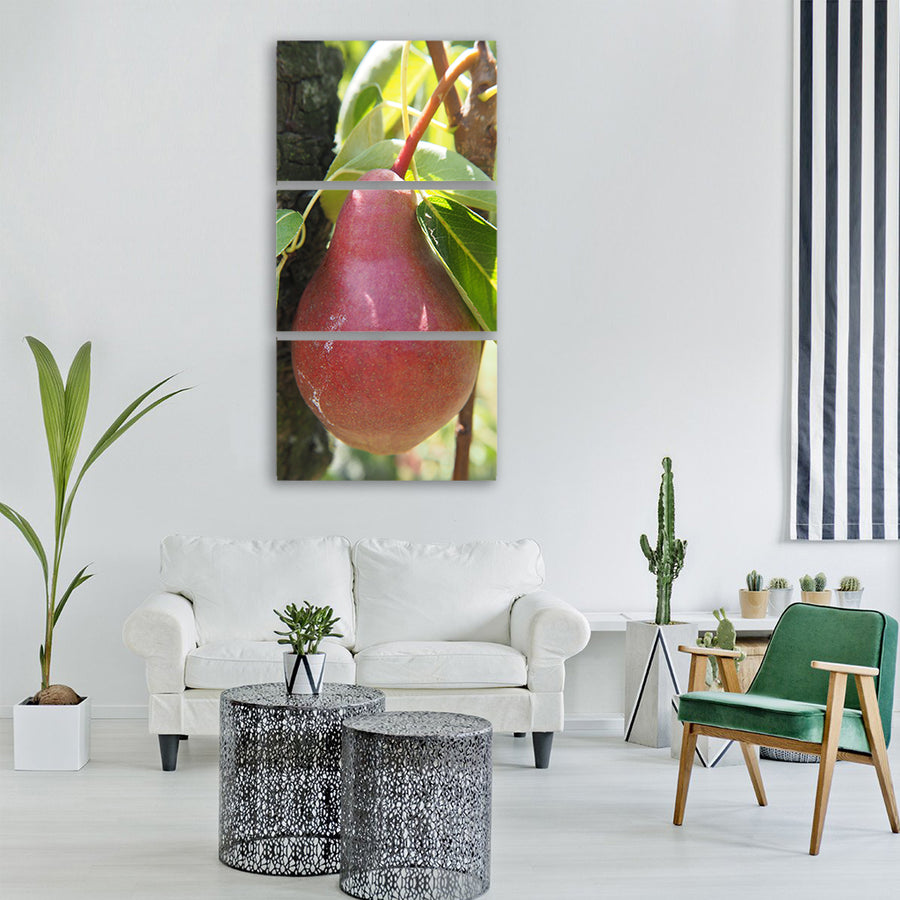 pear fruit garden fruits ripe Vertical Canvas Wall Art