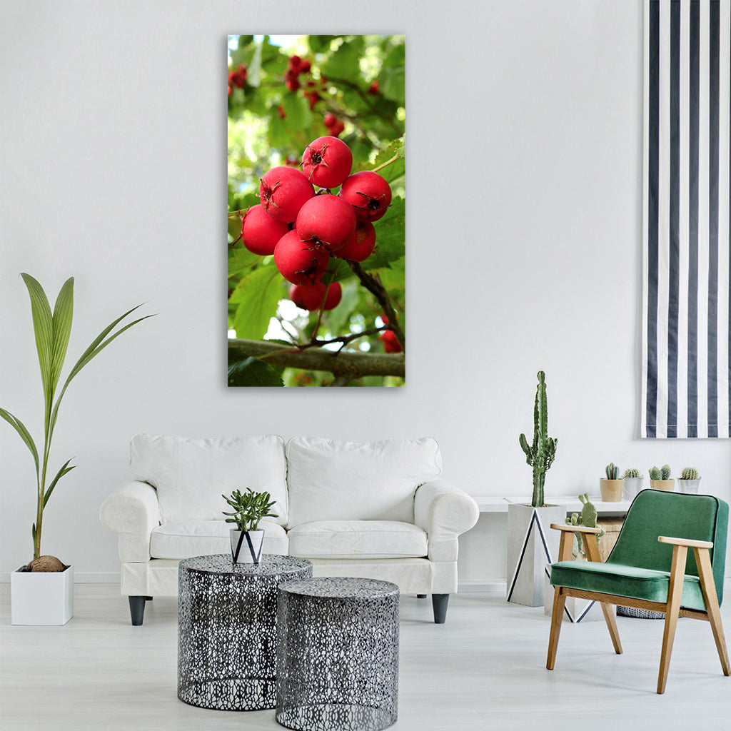 plant tree nature flowers fruits Vertical Canvas Wall Art