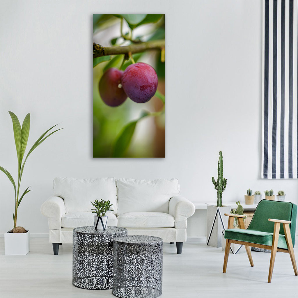 plum ripe plums violet purple Vertical Canvas Wall Art