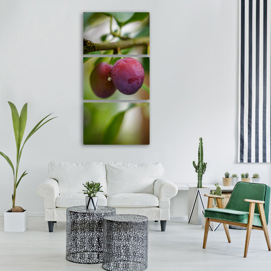 plum ripe plums violet purple Vertical Canvas Wall Art