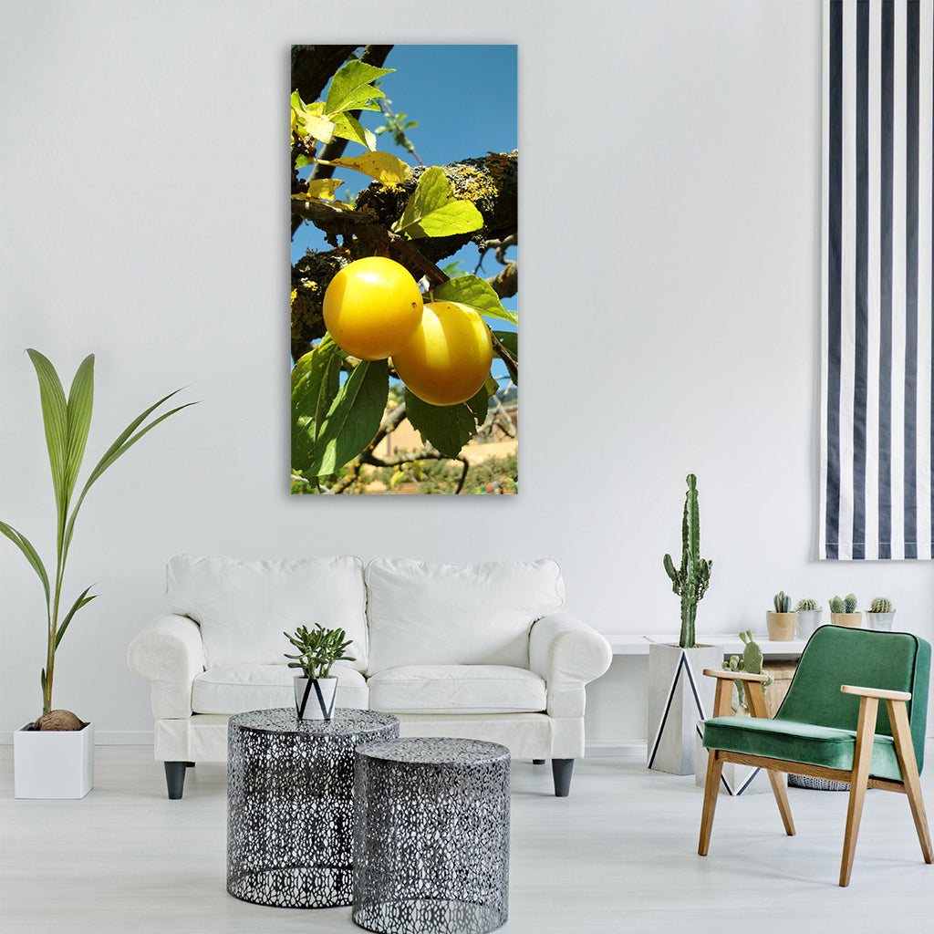 plums fruit summer yellow plum Vertical Canvas Wall Art