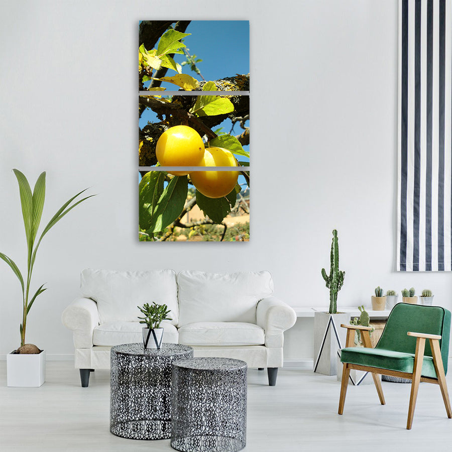 plums fruit summer yellow plum Vertical Canvas Wall Art