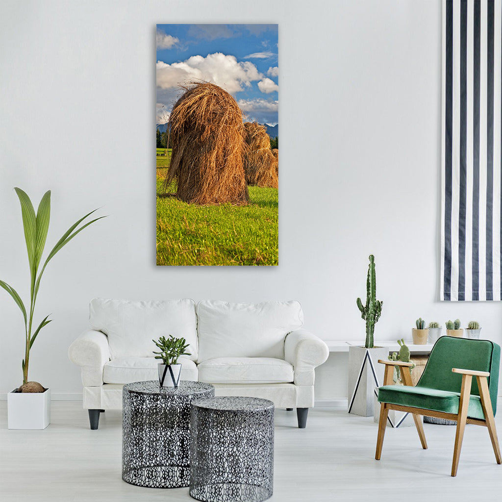 poland malopolska podhale tatry Vertical Canvas Wall Art