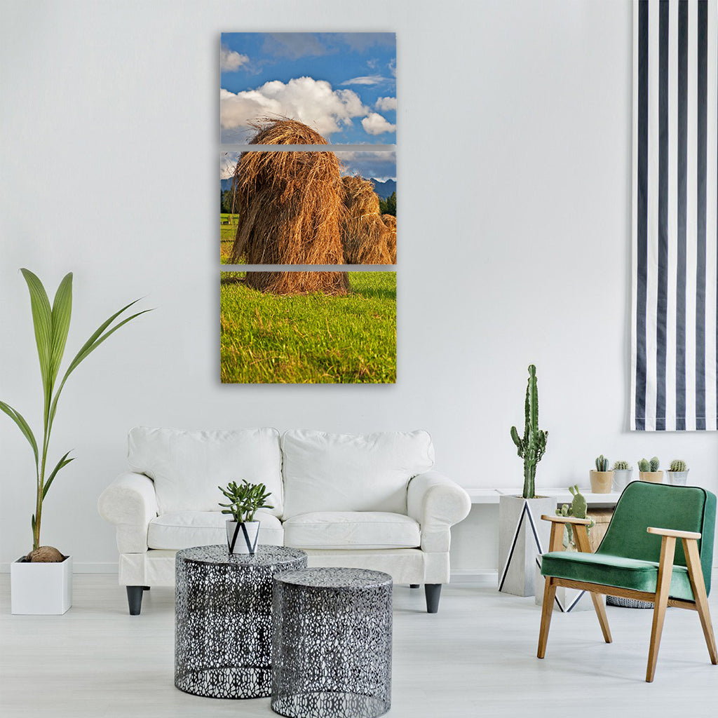 poland malopolska podhale tatry Vertical Canvas Wall Art