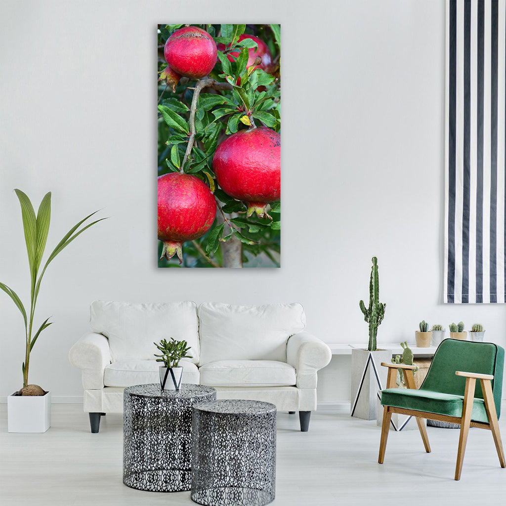 pomegranate pomegranate tree fruits Vertical Canvas Wall Art