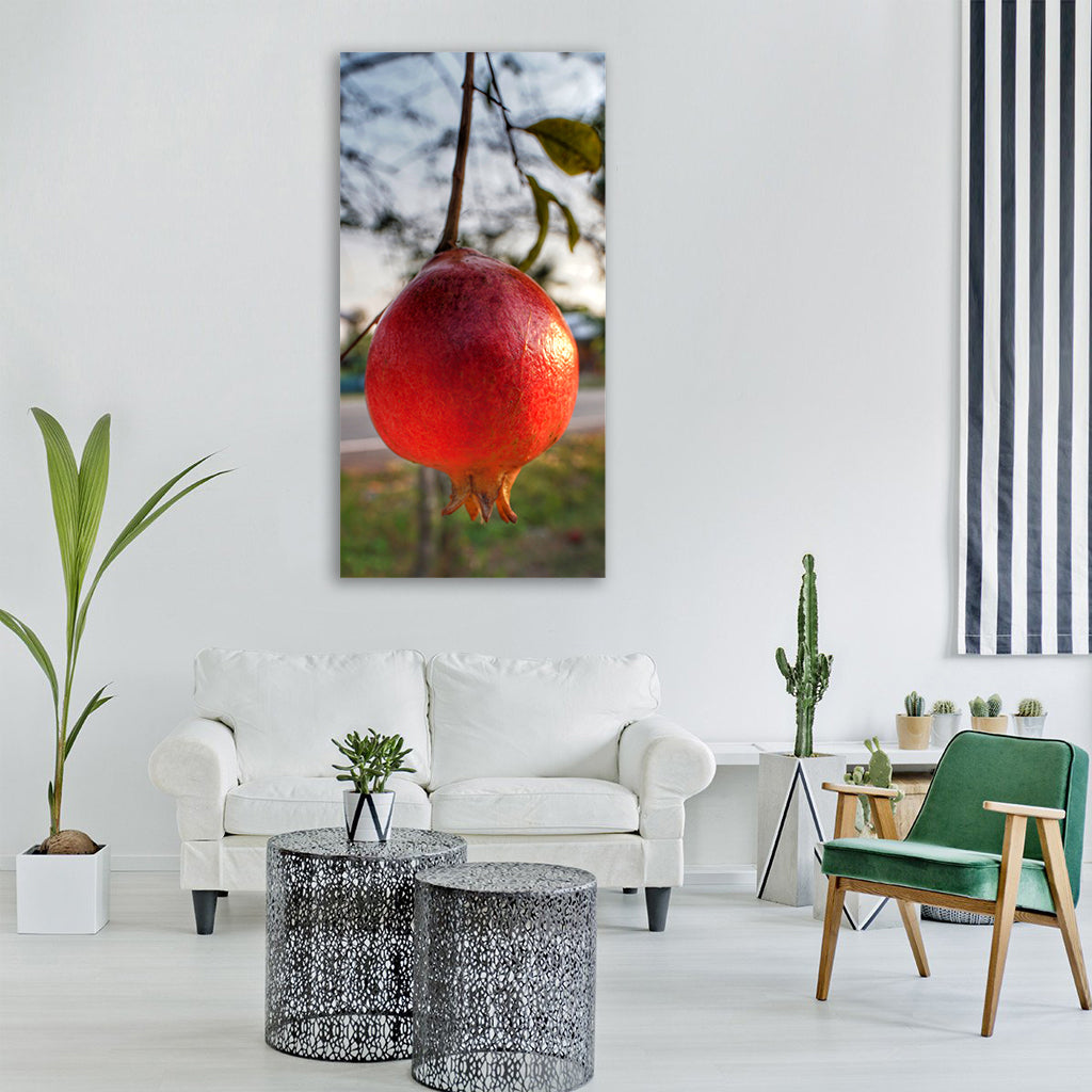 pomegranate hanging fruit nature Vertical Canvas Wall Art