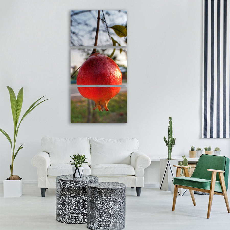 pomegranate hanging fruit nature Vertical Canvas Wall Art