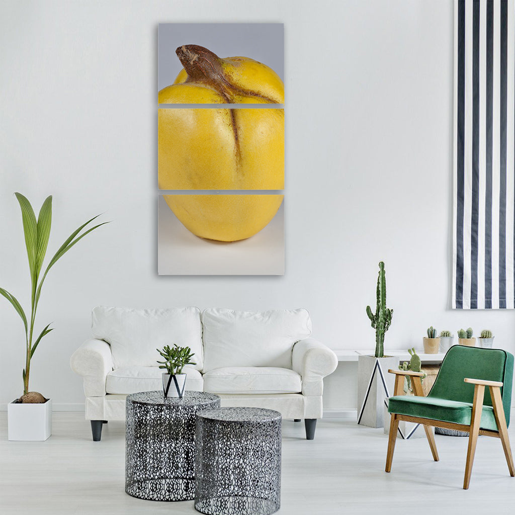 quince yellow fruits pome fruit Vertical Canvas Wall Art