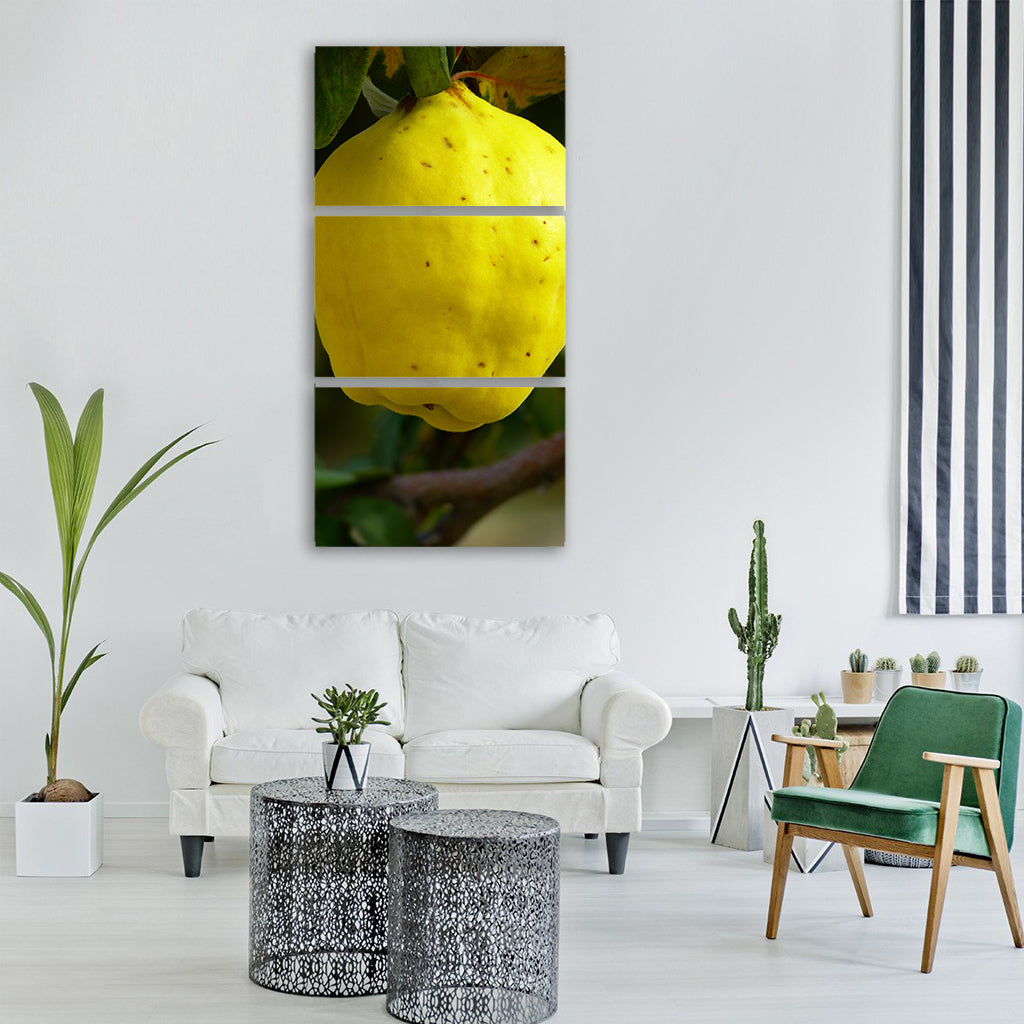quince fruit plant leaf tree Vertical Canvas Wall Art