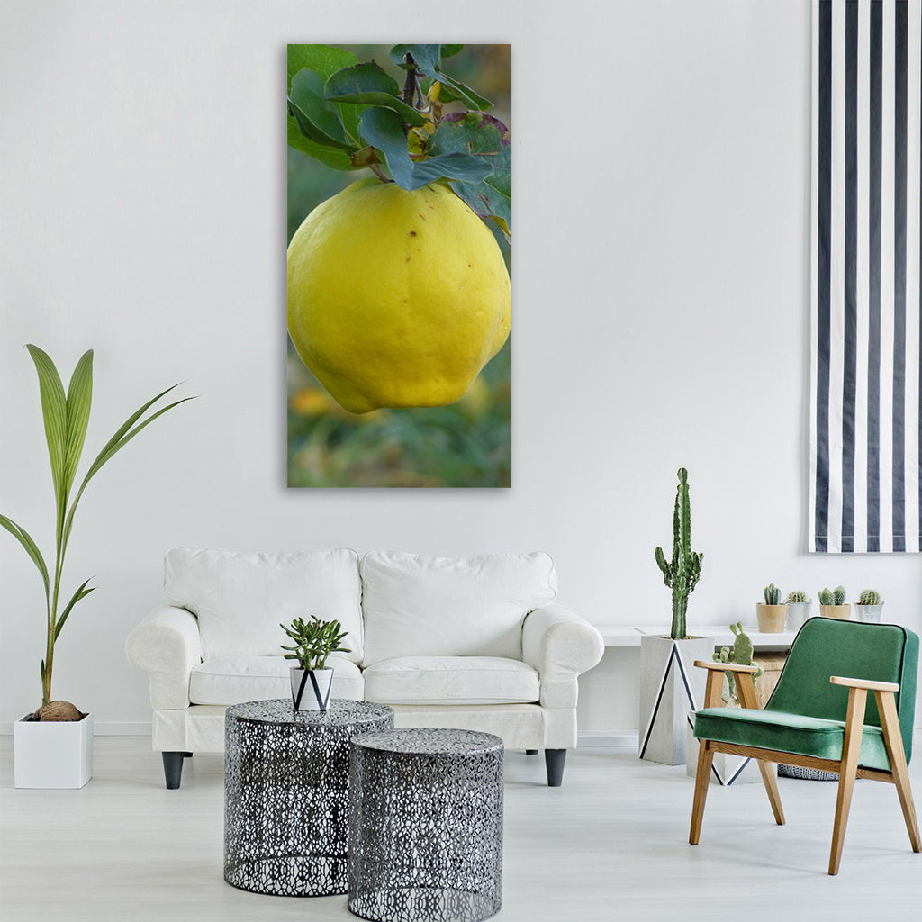 quince fruit plant leaf tree Vertical Canvas Wall Art