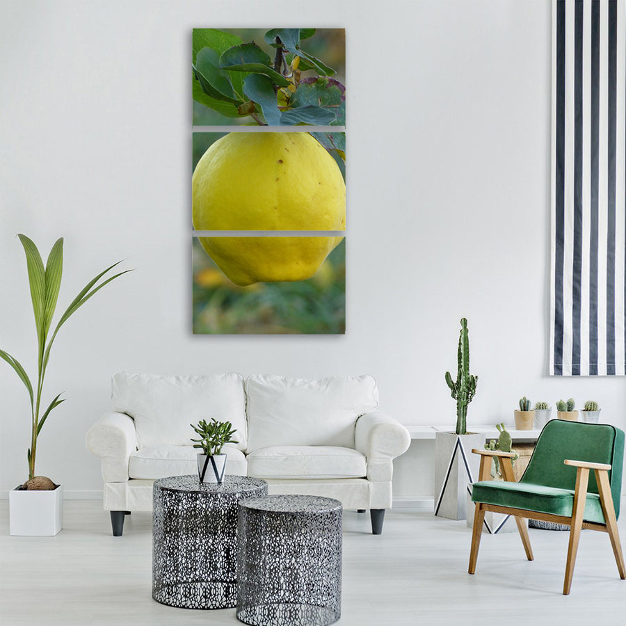 quince fruit plant leaf tree Vertical Canvas Wall Art