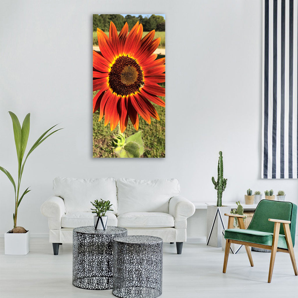 red sunflower red sunflower spring Vertical Canvas Wall Art
