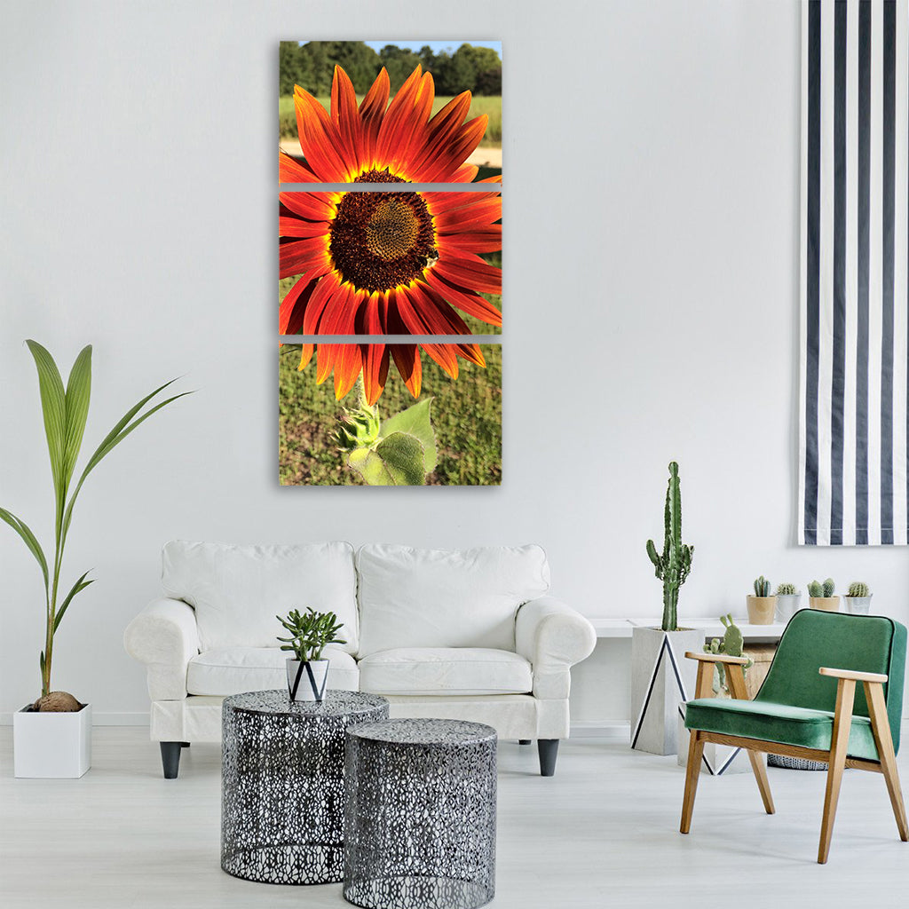 red sunflower red sunflower spring Vertical Canvas Wall Art