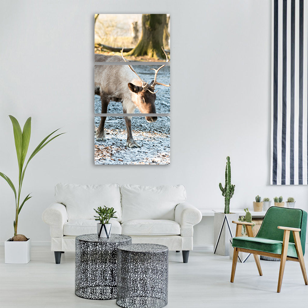 reindeer snow frost walking winter Vertical Canvas Wall Art