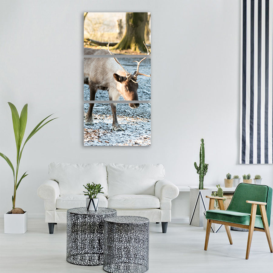 reindeer snow frost walking winter Vertical Canvas Wall Art