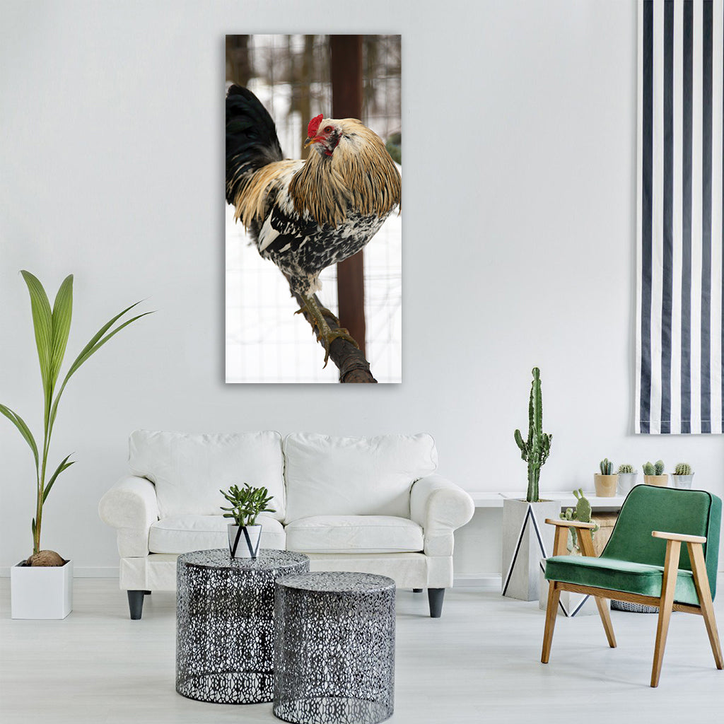 rooster nature outdoors bird Vertical Canvas Wall Art