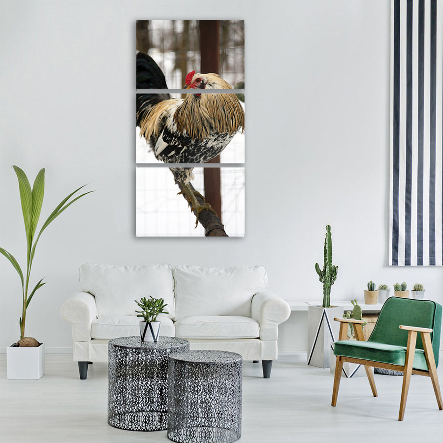 rooster nature outdoors bird Vertical Canvas Wall Art