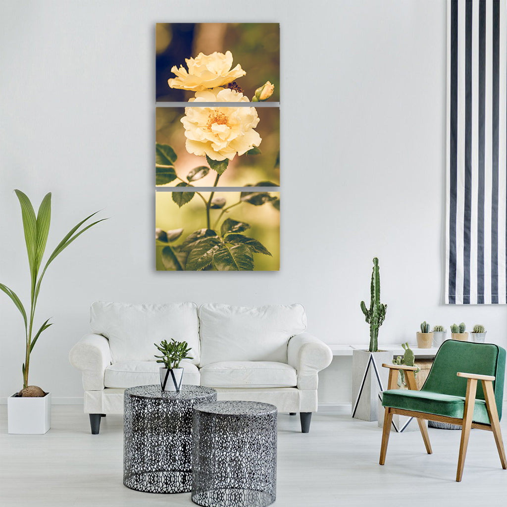 rose flower yellow nature garden Vertical Canvas Wall Art