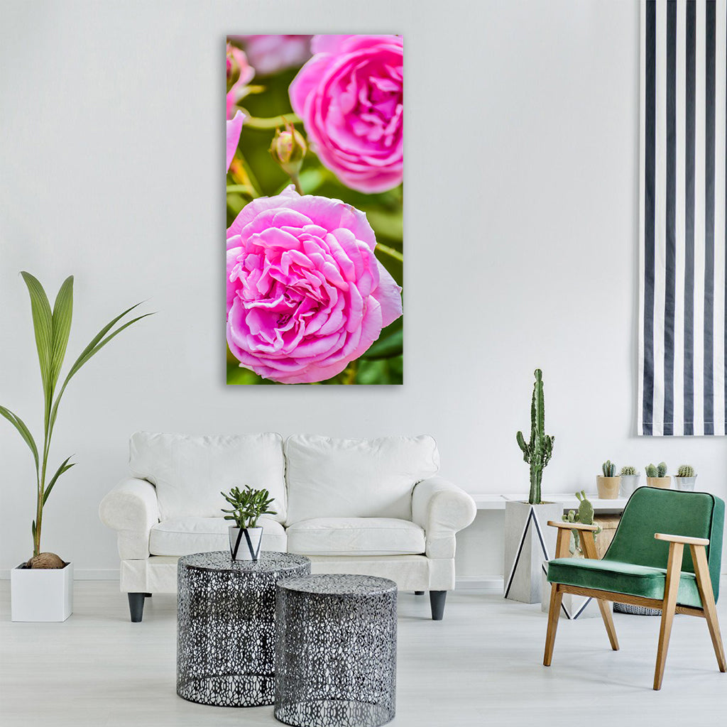 Rose background beautiful beauty Vertical Canvas Wall Art