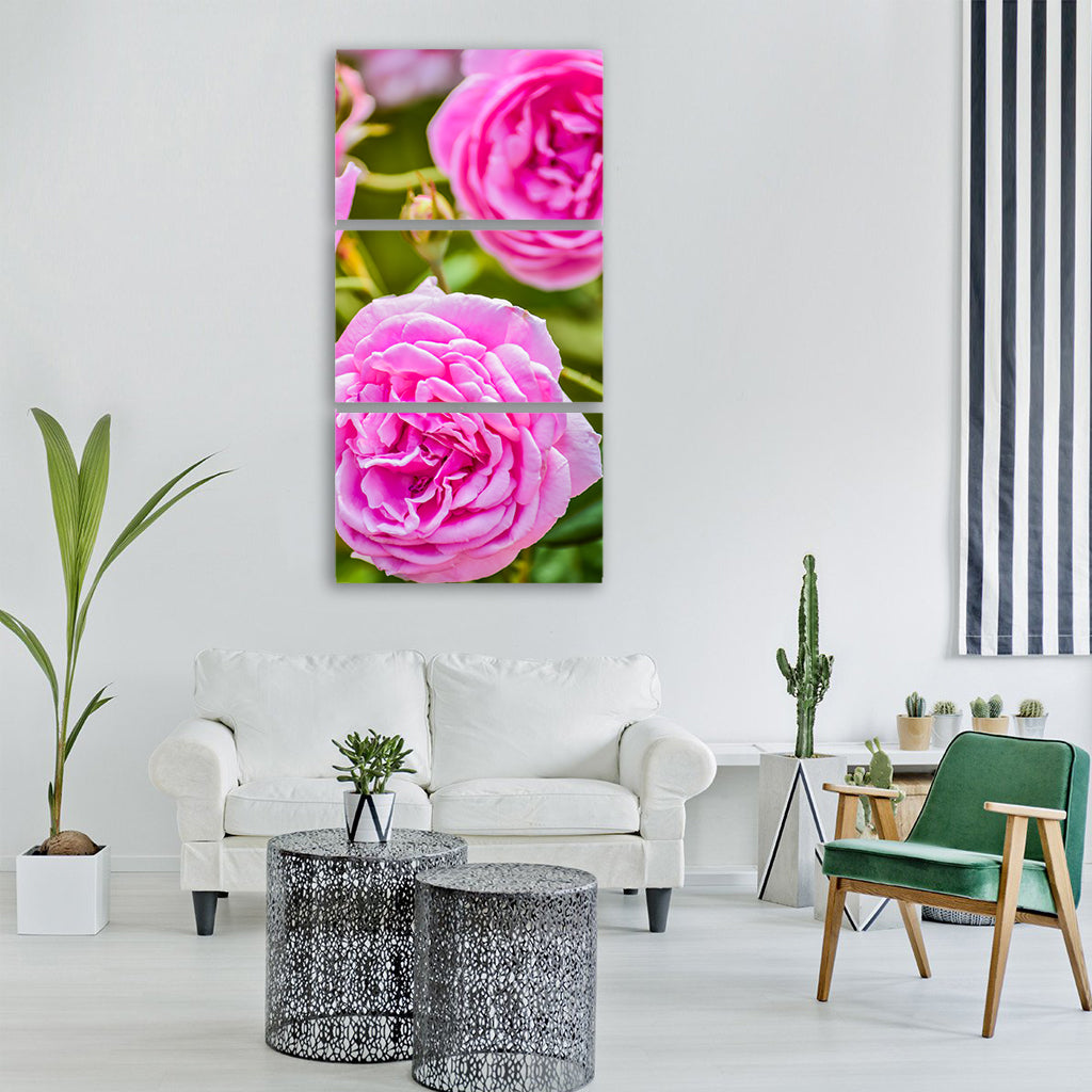 Rose background beautiful beauty Vertical Canvas Wall Art