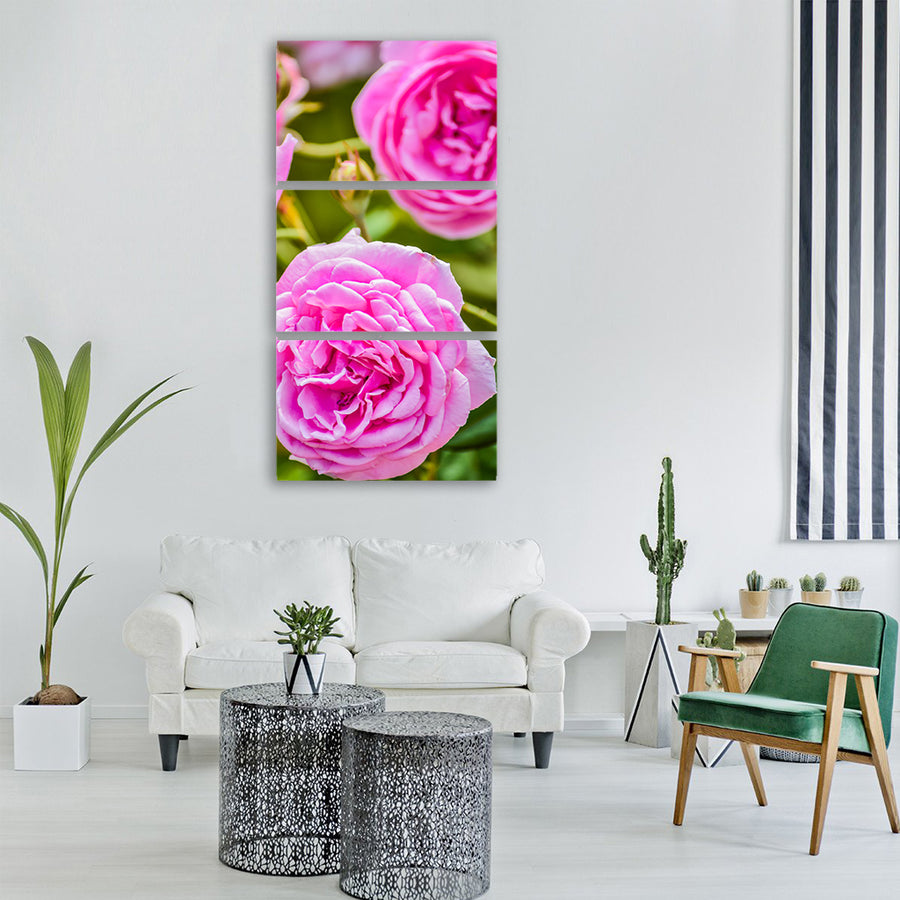Rose background beautiful beauty Vertical Canvas Wall Art