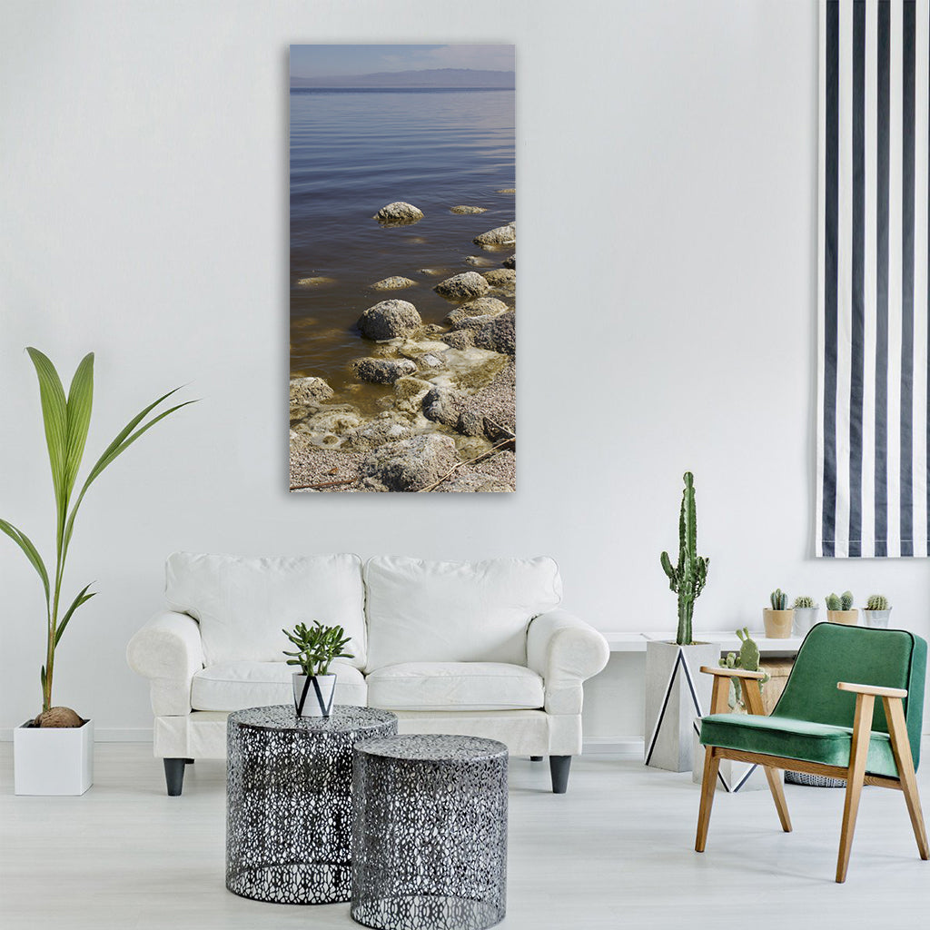 salton sea decay sea salton Vertical Canvas Wall Art