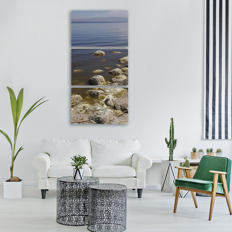 salton sea decay sea salton Vertical Canvas Wall Art
