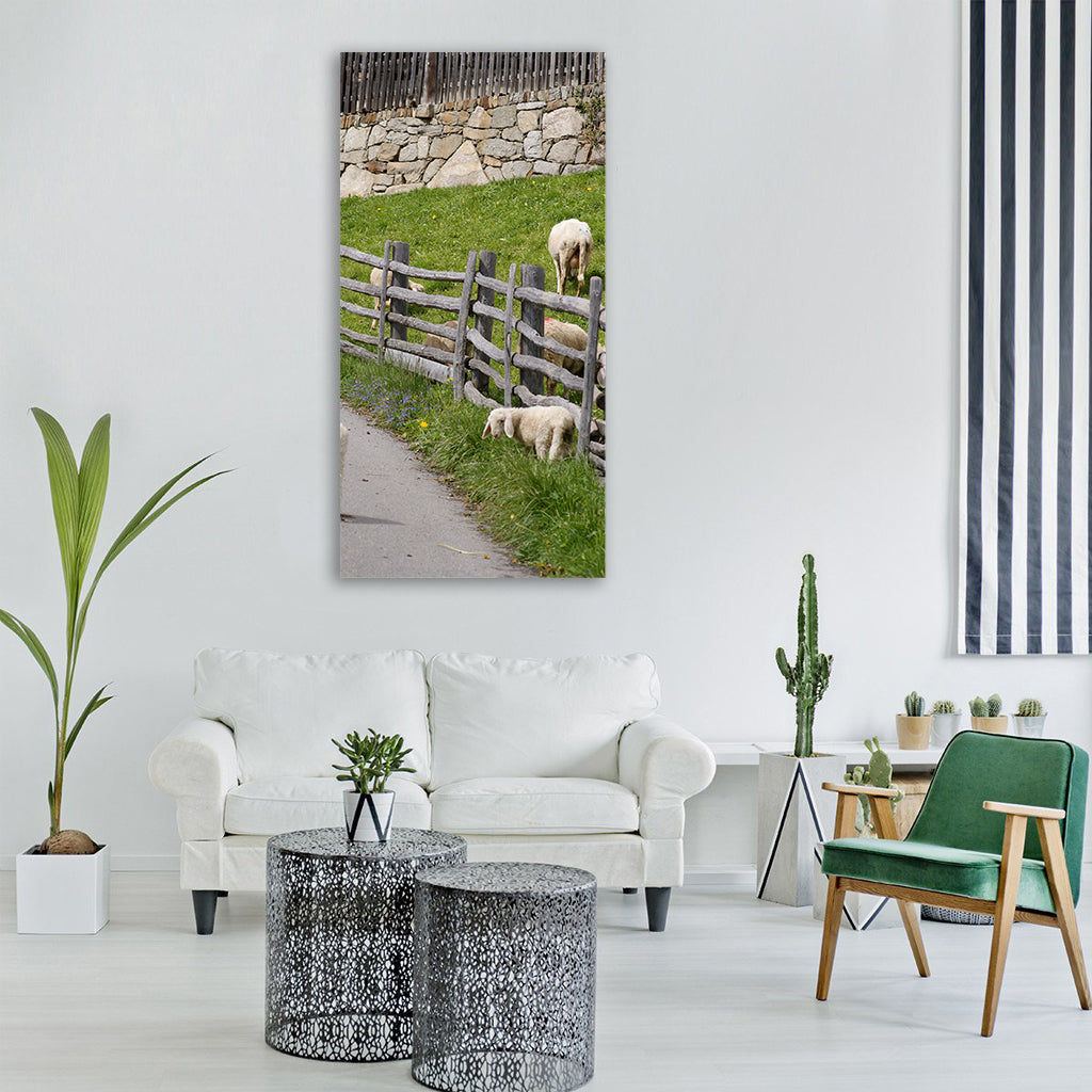 sheep lambs playful ausgebüxt lamb Vertical Canvas Wall Art