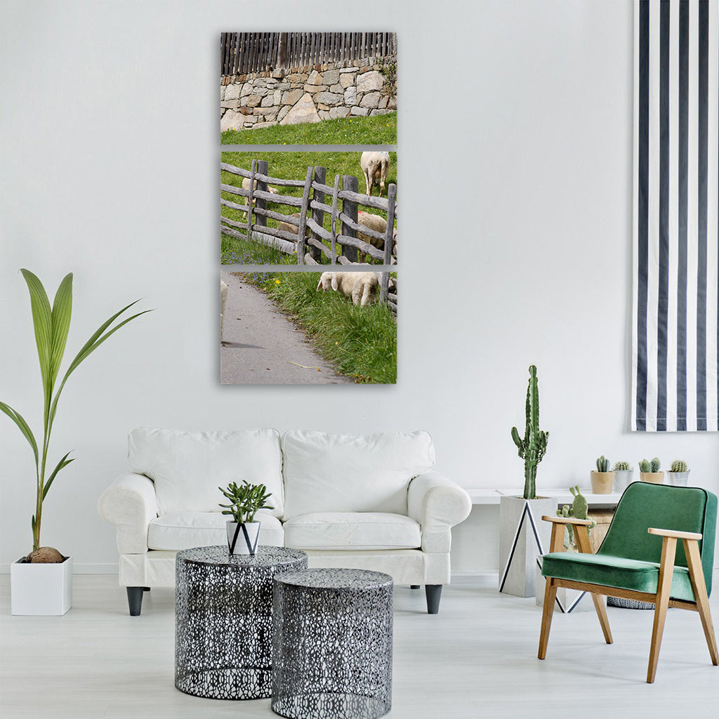 sheep lambs playful ausgebüxt lamb Vertical Canvas Wall Art