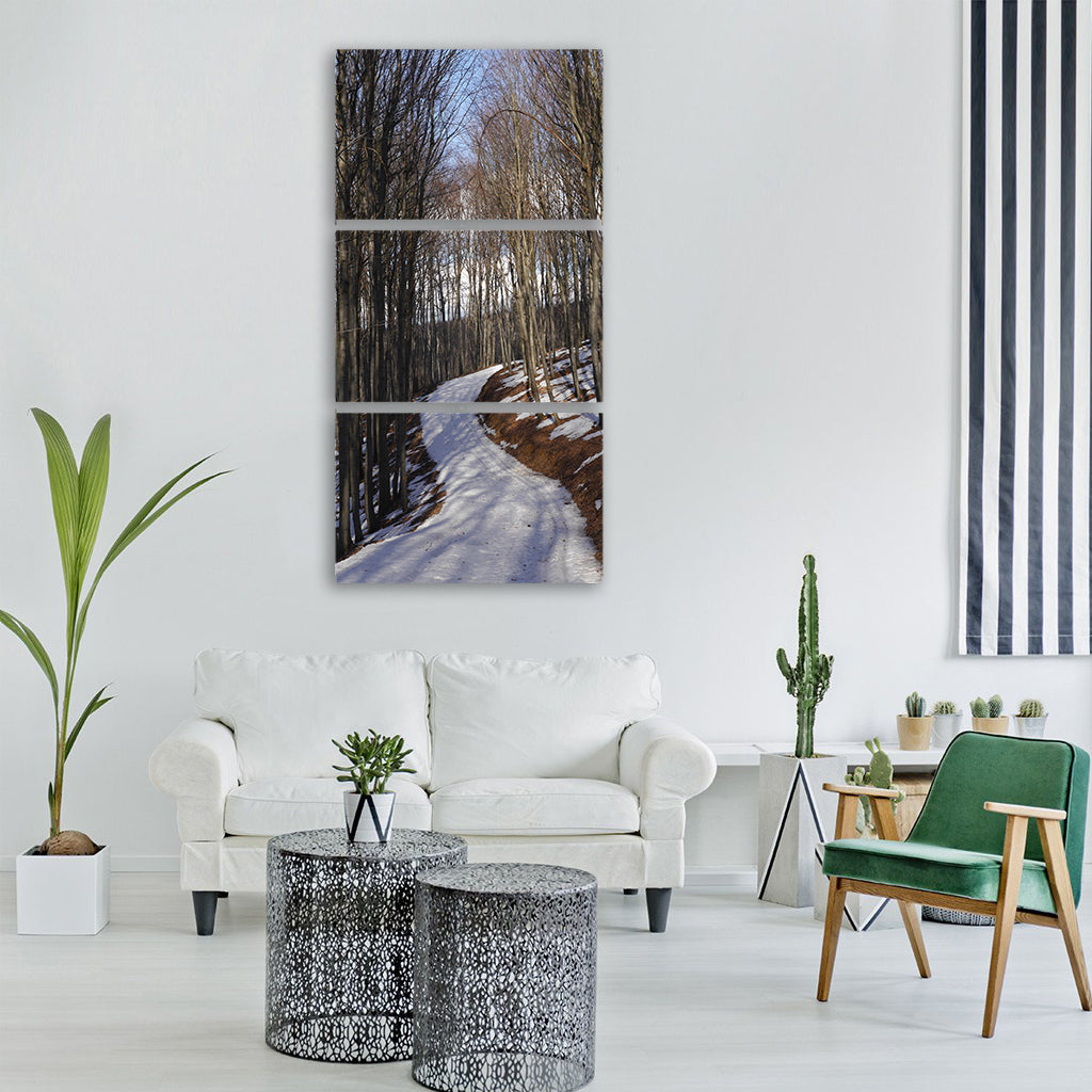 slovakia winter male karpaty ski Vertical Canvas Wall Art