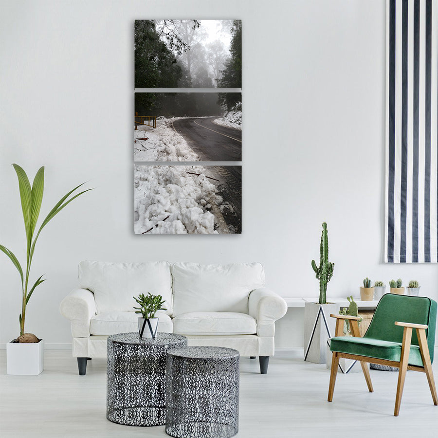 snow fog winter cold mist foggy Vertical Canvas Wall Art