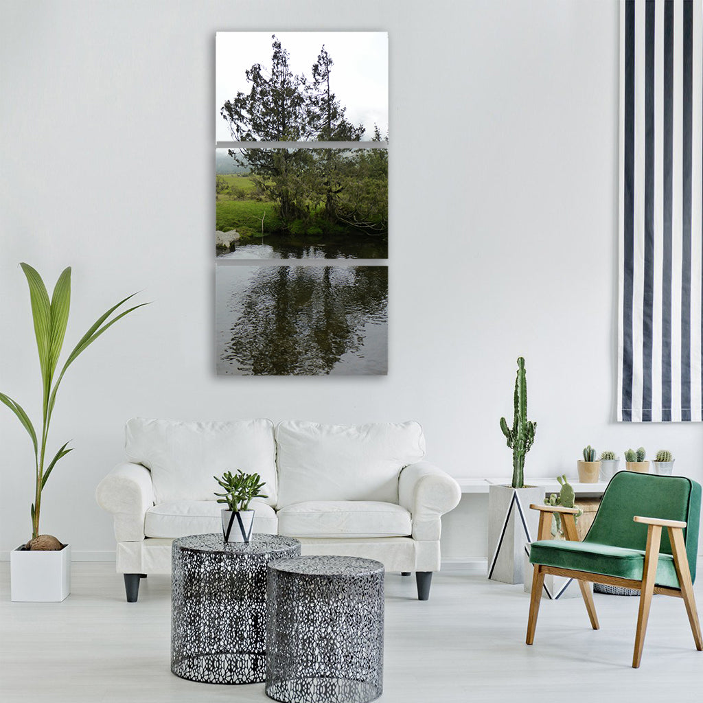stream valley mist gogona valley Vertical Canvas Wall Art