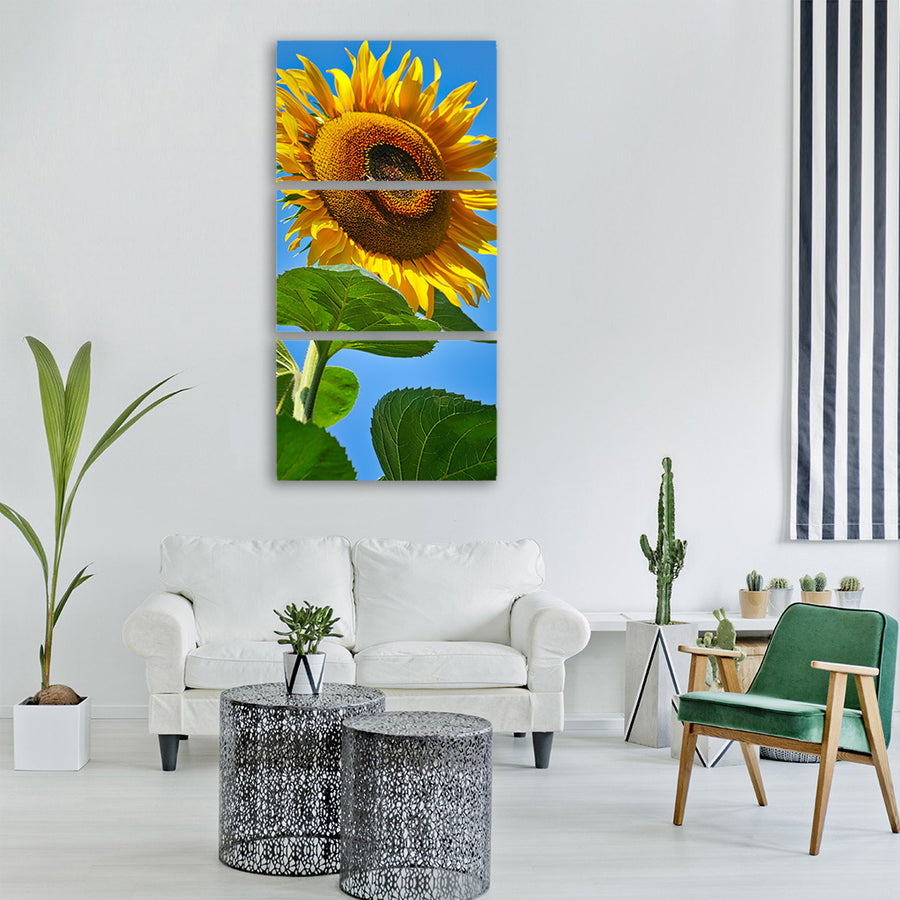 sunflower blossom bloom yellow Vertical Canvas Wall Art
