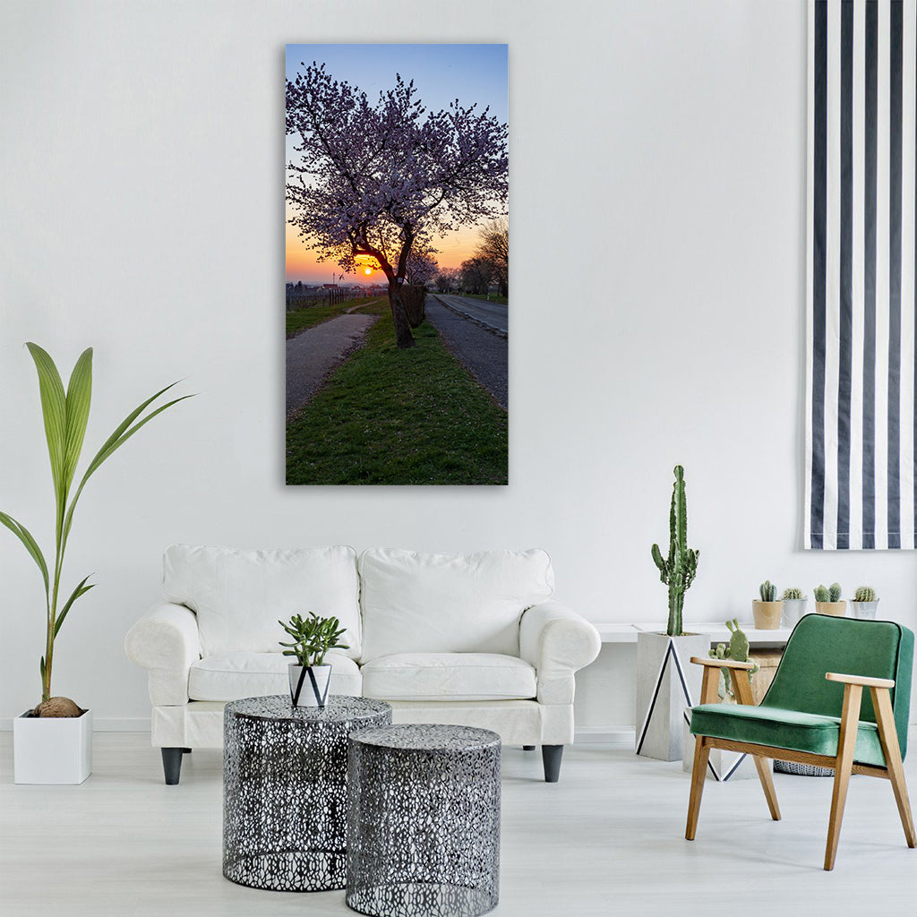 sunrise almonds spring pink tree Vertical Canvas Wall Art