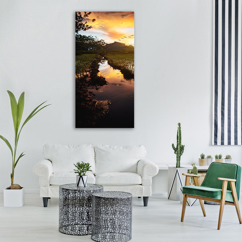 sunset golden hour sun rice fields Vertical Canvas Wall Art