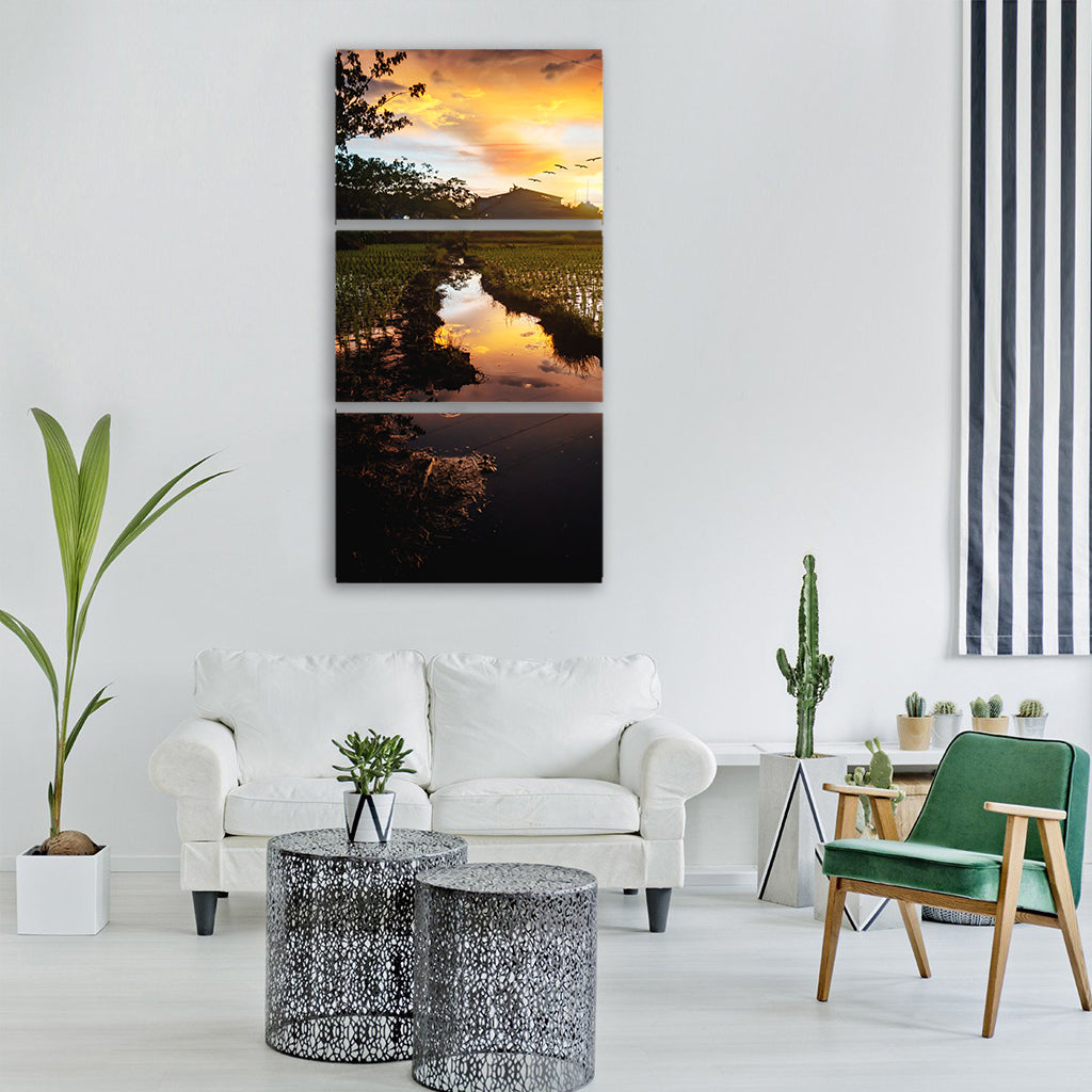 sunset golden hour sun rice fields Vertical Canvas Wall Art