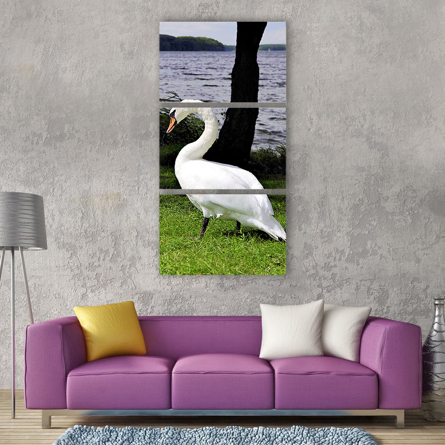 Swan swans case beach grass bird Vertical Canvas Wall Art