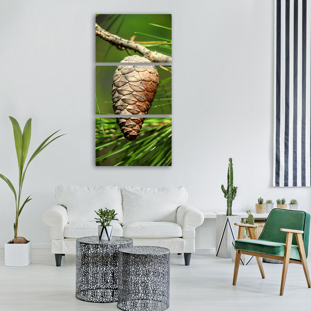 tap brown pine pine cones tree Vertical Canvas Wall Art