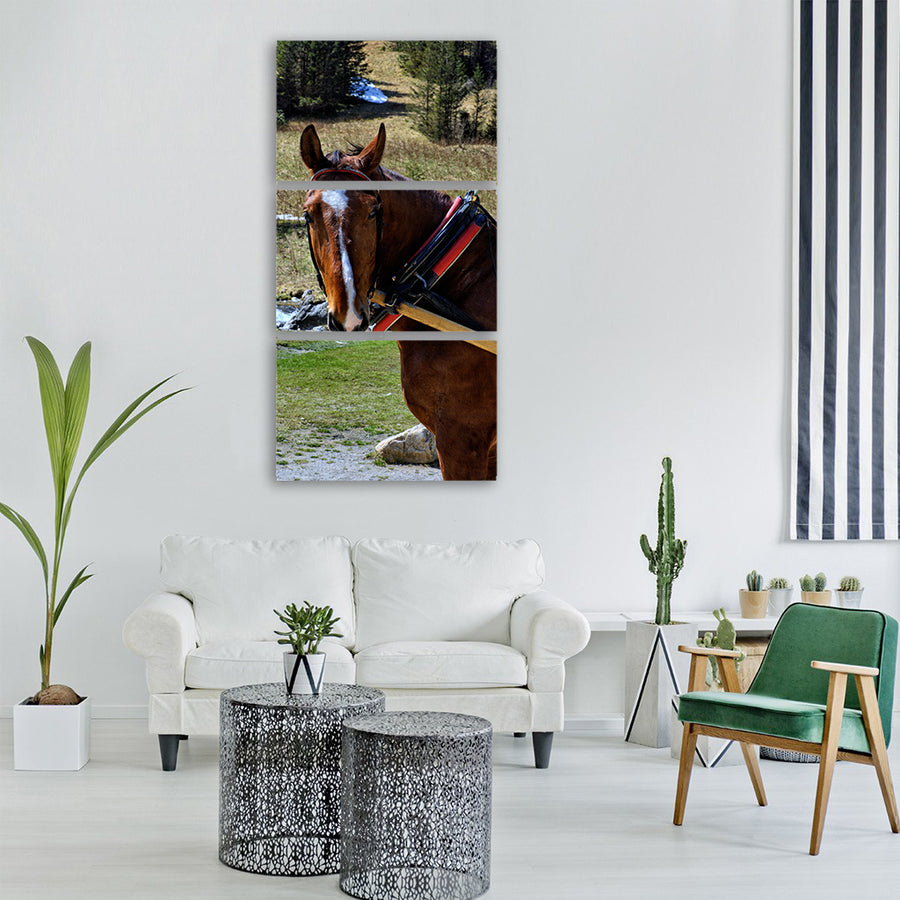 tatry kościeliska valley winter Vertical Canvas Wall Art