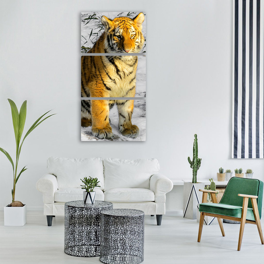 tiger tiger cub big cat Vertical Canvas Wall Art