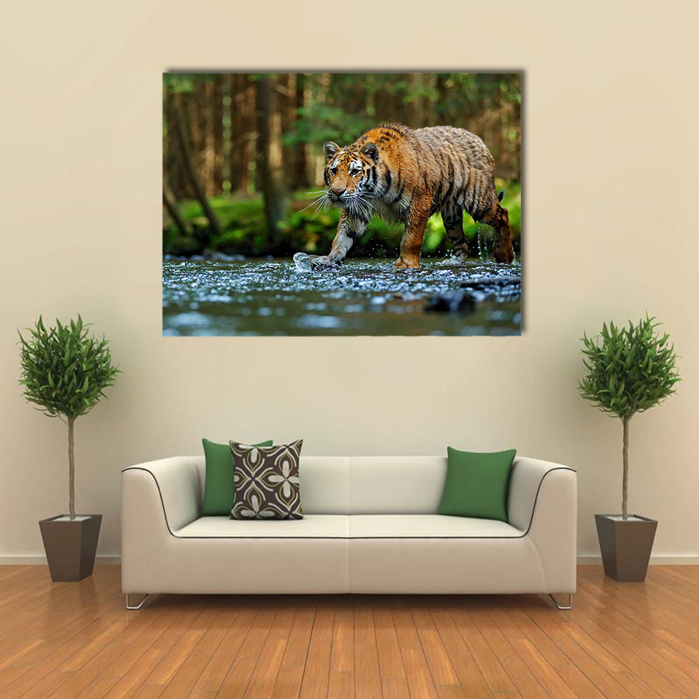tiger walking in river water Multi Panel Canvas Wall Art