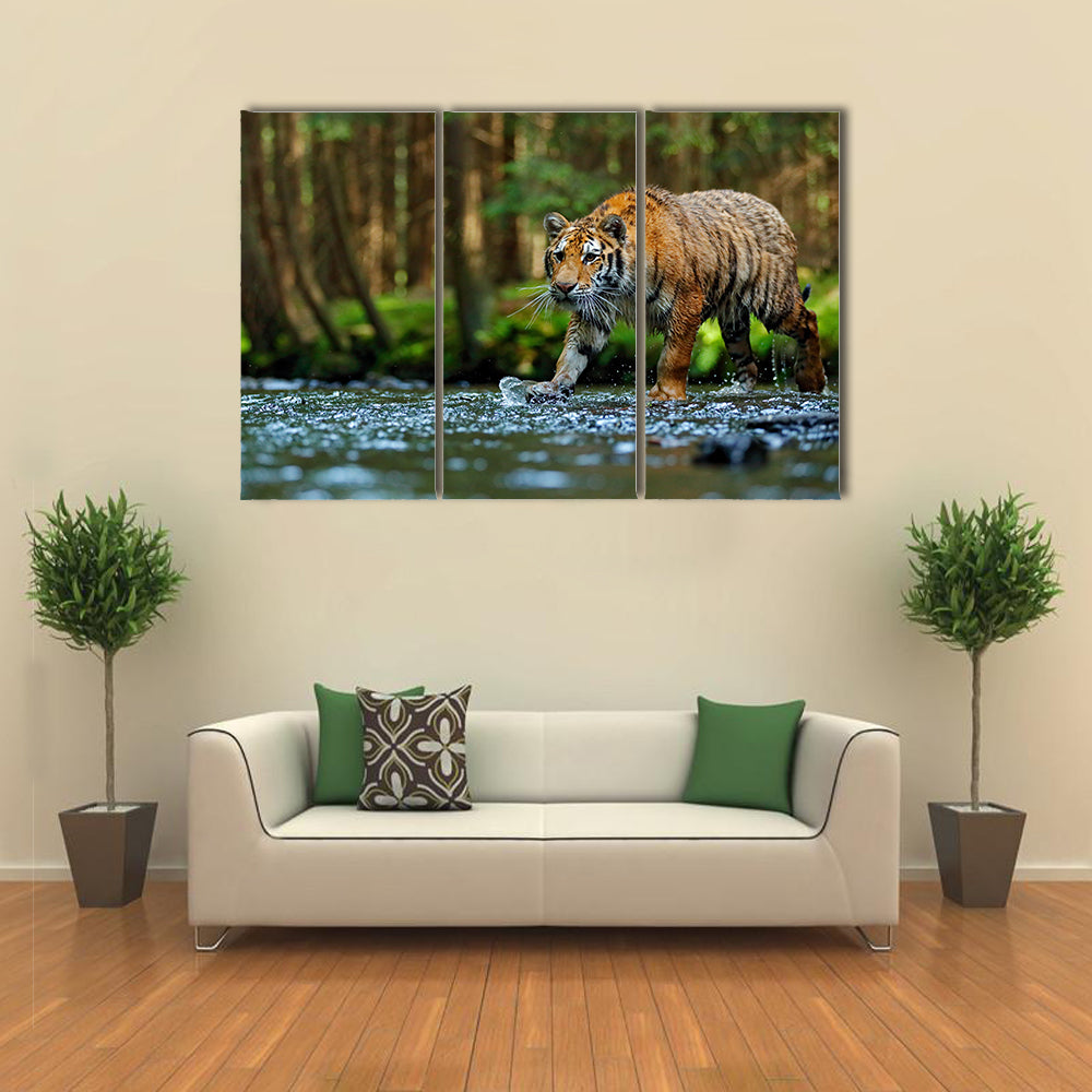 tiger walking in river water Multi Panel Canvas Wall Art