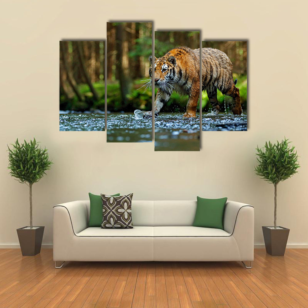 tiger walking in river water Multi Panel Canvas Wall Art