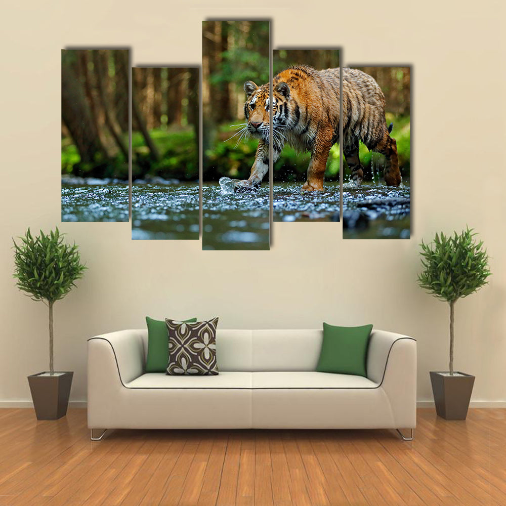 tiger walking in river water Multi Panel Canvas Wall Art