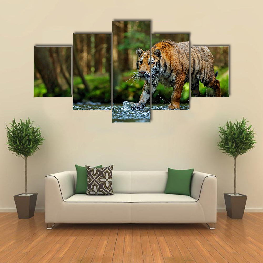 tiger walking in river water Multi Panel Canvas Wall Art