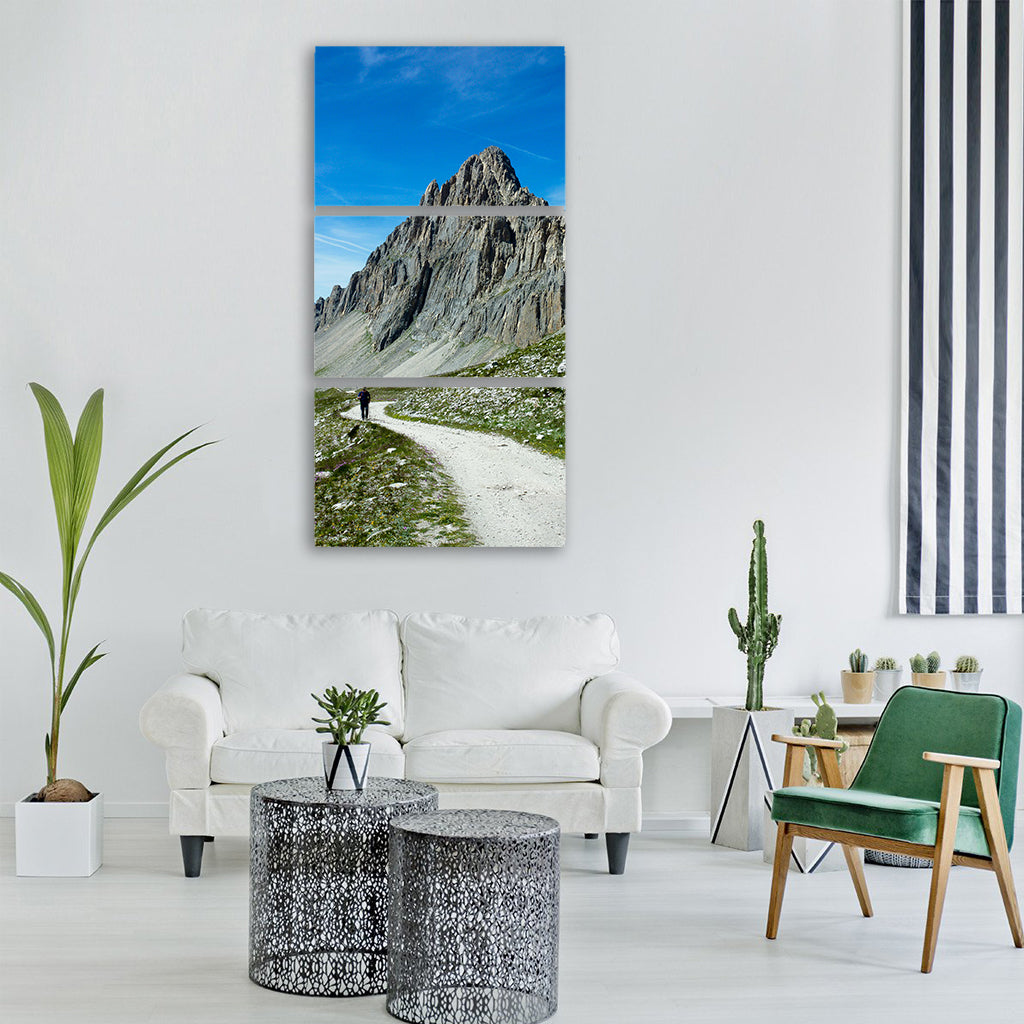 trail mountain summer excursion Vertical Canvas Wall Art