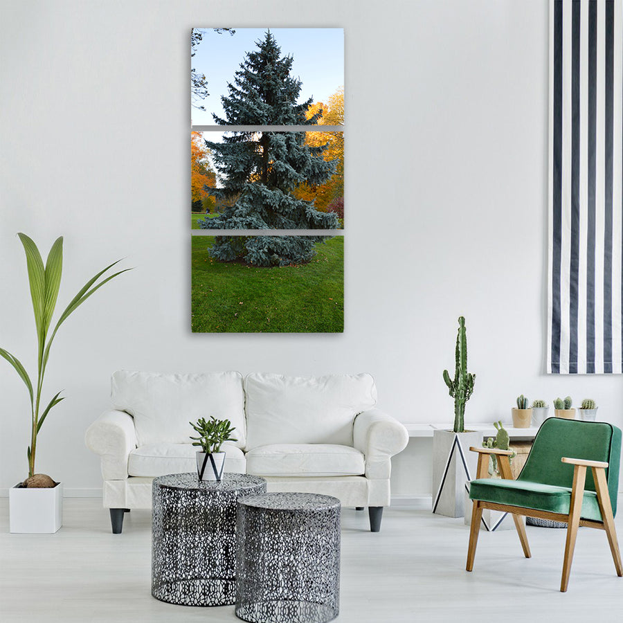 tree spruce evergreen autumn Vertical Canvas Wall Art